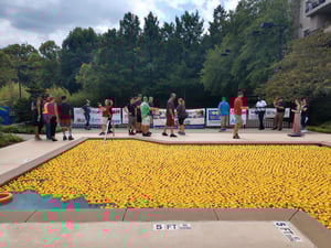 SO-DUCK-PLUCK 2